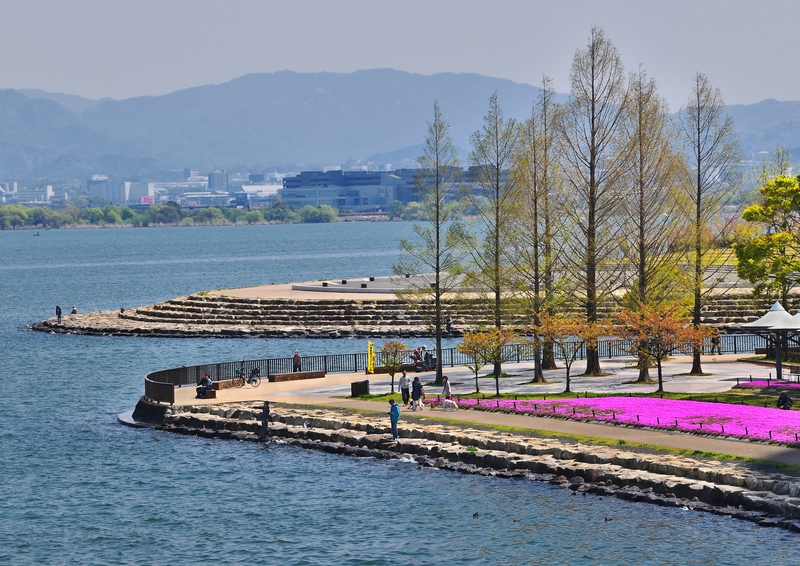 大津湖岸なぎさ公園 18年 春コンテスト 滋賀 びわ湖 虹色フォトコンテスト