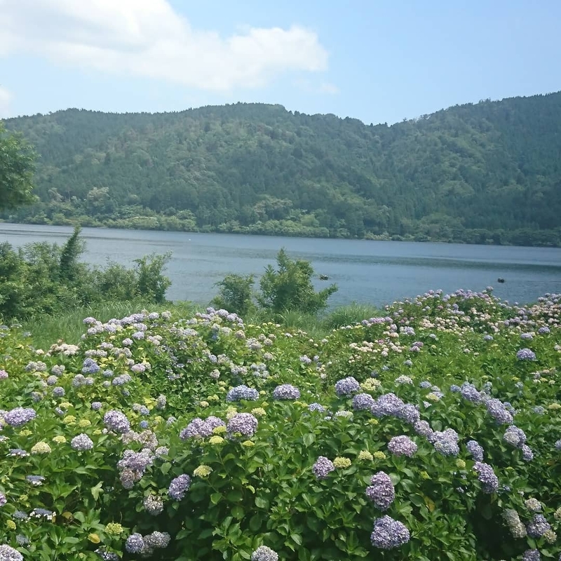 余呉湖とあじさい 18年 夏コンテスト 滋賀 びわ湖 虹色フォトコンテスト