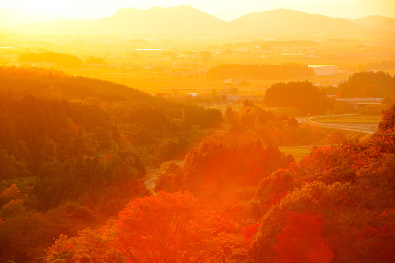 夕日と紅葉 17年 秋コンテスト 滋賀 びわ湖 虹色フォトコンテスト