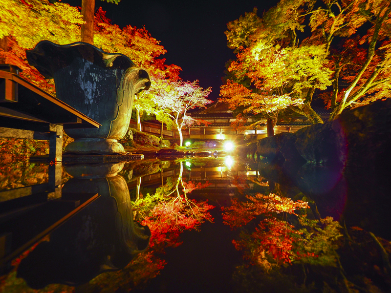 永源寺紅葉ライトアップ 17年 秋コンテスト 滋賀 びわ湖 虹色フォトコンテスト